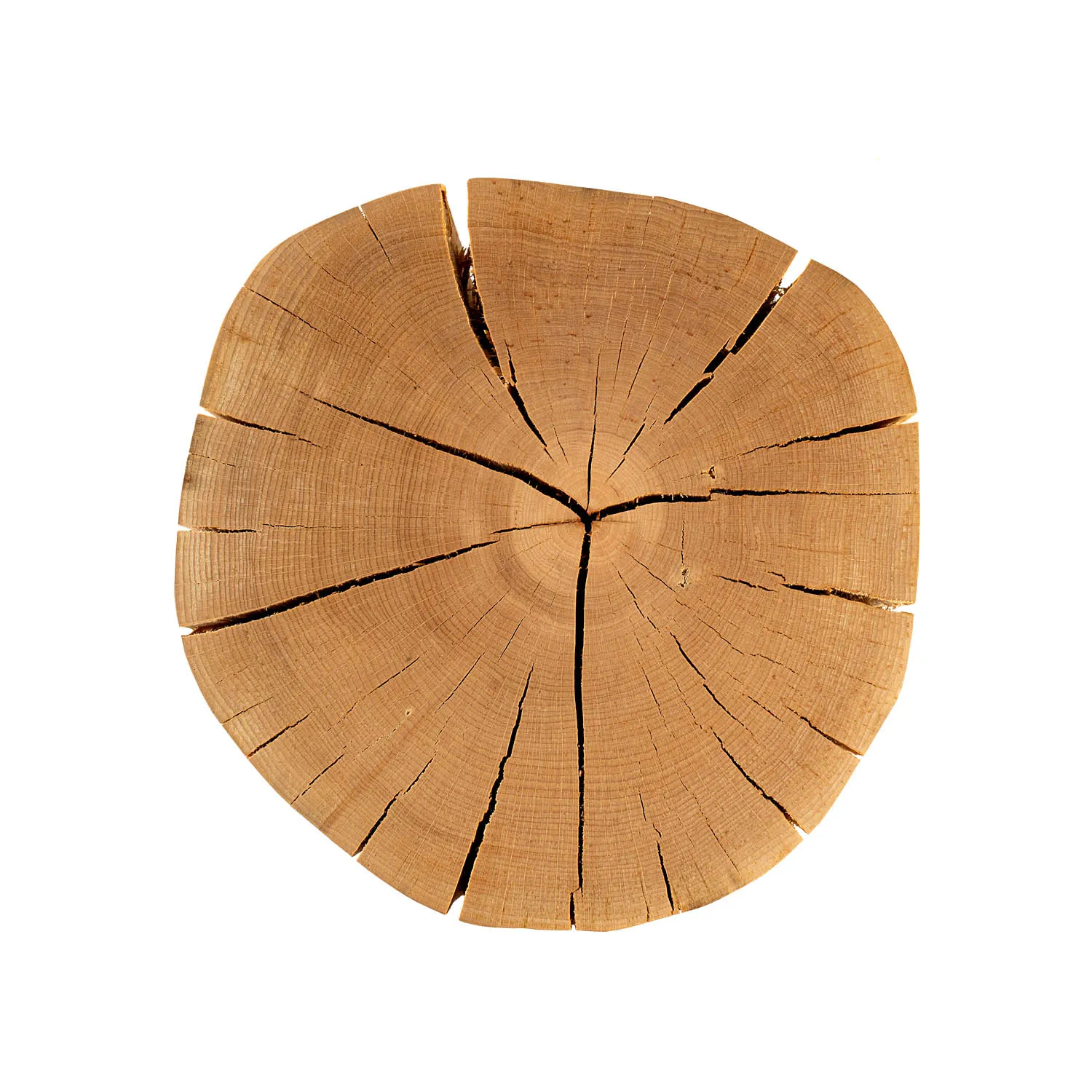 Natürliche Tischoberfläche des Baumstamms Buche