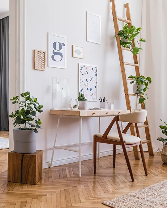 Holzhocker und Kleiderleiter mit Topfpflanzen dekoriert neben Schreibtisch