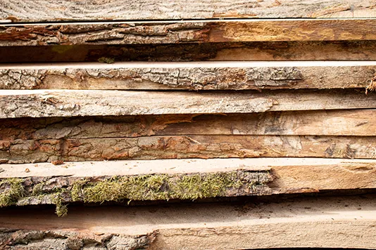 Detailansicht von gestapeltem Schnittholz aus dem Sägewerk